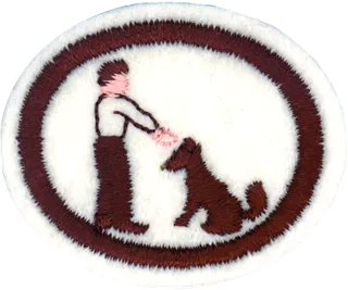 Dog Care and Training patch