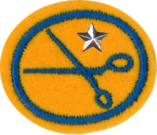 Dressmaking - Advanced patch