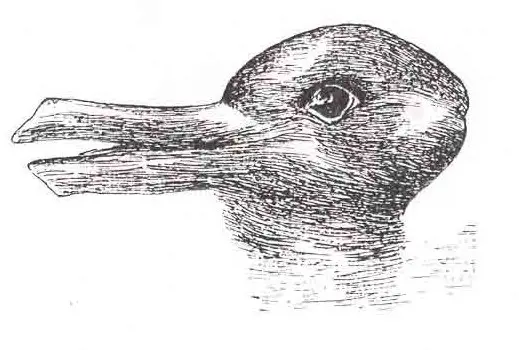 Duck/Rabbit Illusion