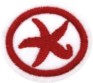 Echinoderms patch