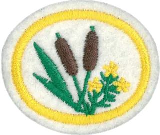 Edible Wild Plants patch