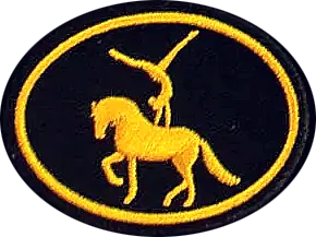 Equestrian Vaulting patch