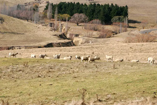 Eroded paddock