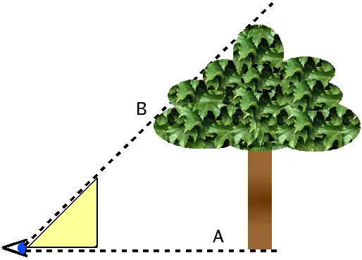 Estimating height 2