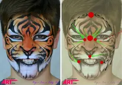 Face Paint - Tiger
