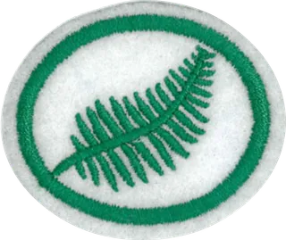 Ferns patch