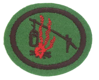 Fire Building & Camp Cookery patch