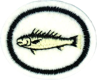 Fishes patch