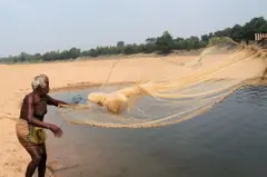 Netting (Sri Lanka)