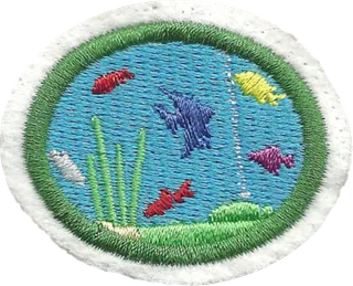Fishkeeping patch