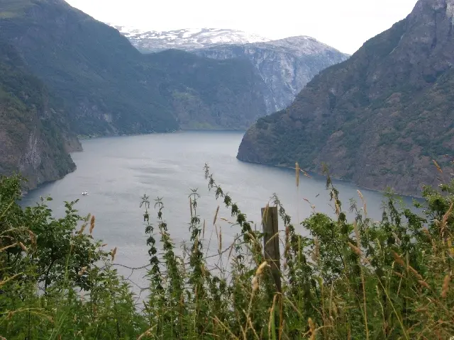 Fjord1