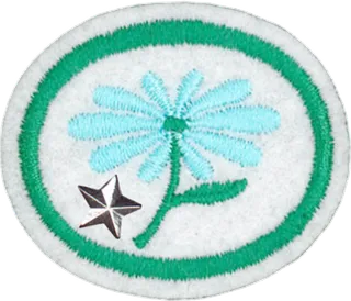 Flowers - Advanced patch