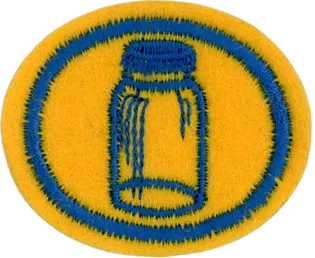 Food - Canning patch