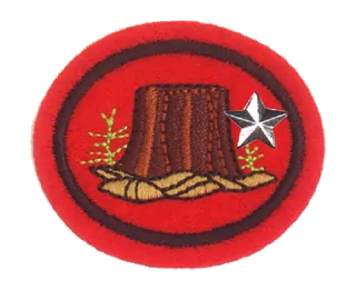 Forestry - Advanced patch