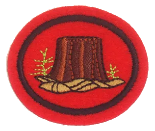 Forestry patch