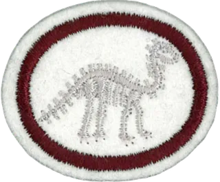 Fossils patch