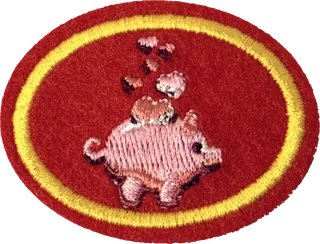 Fundraising patch