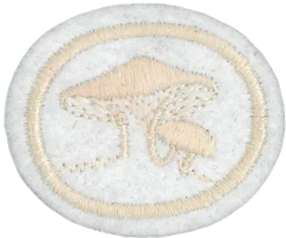 Fungi patch