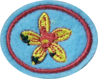 Fabric Yo-Yo patch
