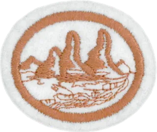 Geology patch