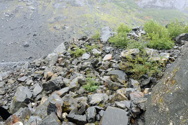 Glacial Drift