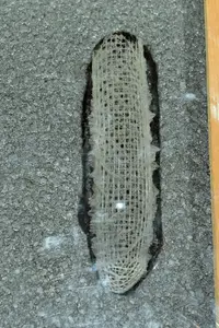 GlassSponge TMM 0898