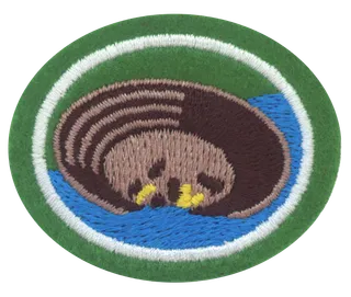 Gold Prospecting patch