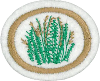 Grasses patch
