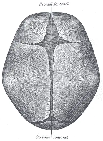 Gray197