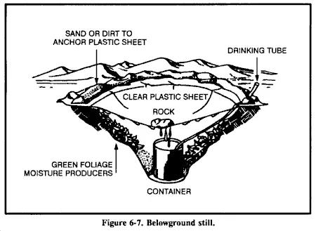 Ground still