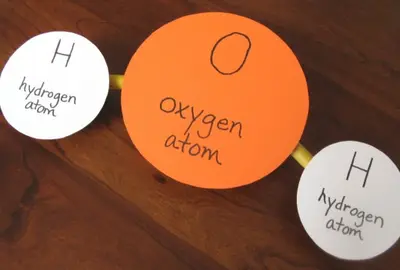 H2O model paper