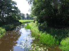 (8) Sandbars covered with growing weeds indicating relatively stable water level