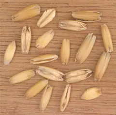 2. Oats