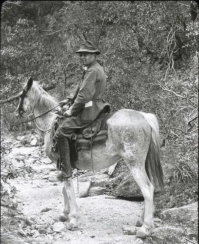Henry C Cowles in the Santa Catalina Mountains Arizona 1913