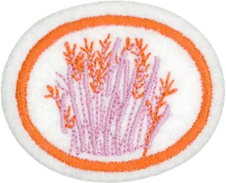 Herbs patch