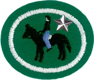 Horsemanship - Advanced patch