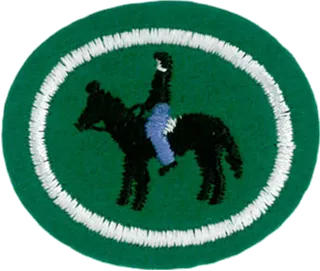 Horsemanship patch