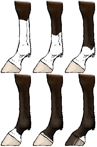 Horsemarkings legs