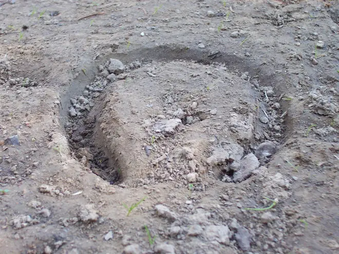 Horseshoe print