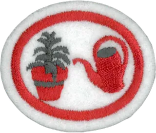House Plants patch