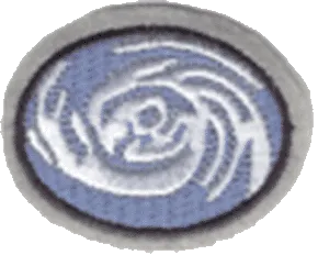Hurricanes patch