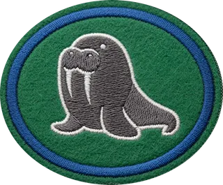 Ice Swimming patch