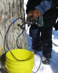 Inserting a plastic tap.