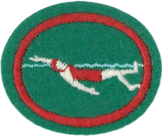 Swimming - Intermediate patch