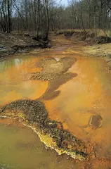 (3) Putrid smell of the water
