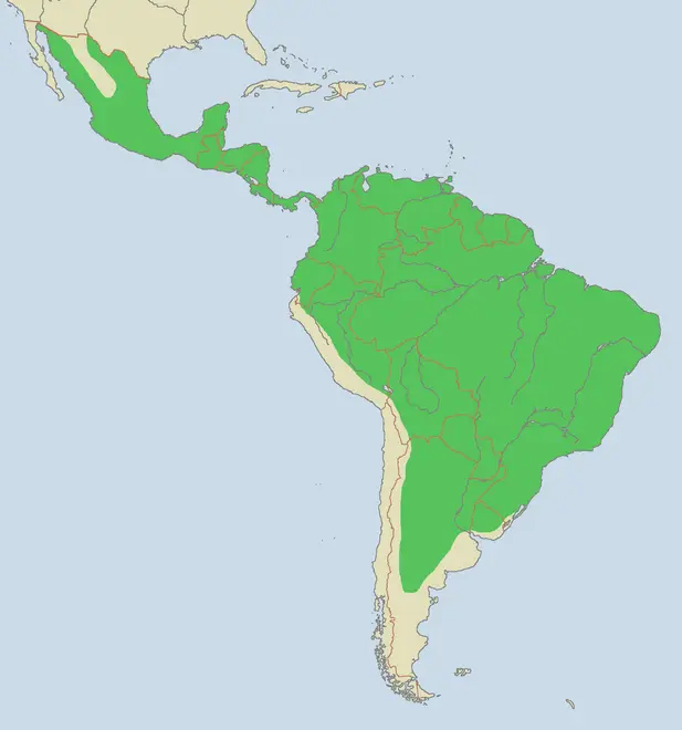 Jaguar range