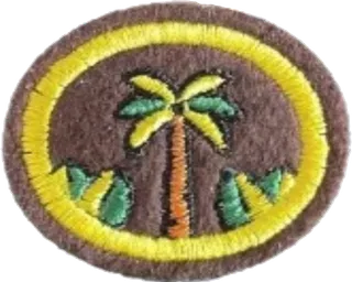 Landscaping patch