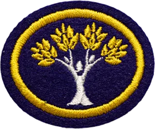 Legacy of Healing patch