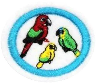 Macaws, Parrots and Parakeets patch
