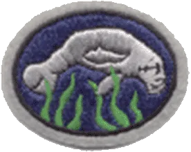 Manatees patch